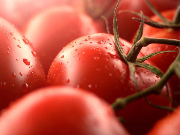 復(fù)合肥長期保存如何